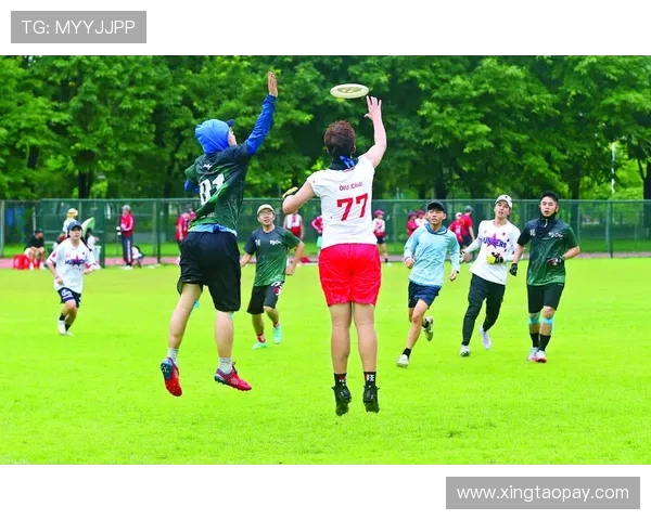 杭州飞盘队与深圳飞盘队赛后分析个人能力的深度对比与启示